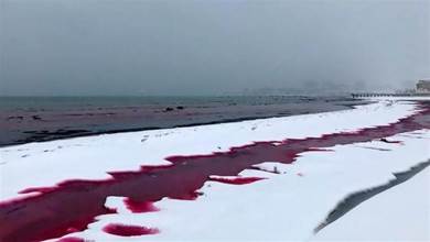 詭異！哈薩克大片海水變血紅色，網友：這是給我們的暗示