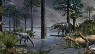 地球史上"最"大的雨，竟然下了200萬年，恐龍就此誕生