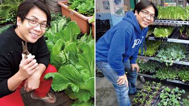 55歲許傑輝珍惜老婆不生小孩「樓頂變菜園」當城市農夫「自己種菜自己吃」自歎「不僅僅是為吃菜」：是一種慰藉也是一種修行