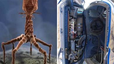 28張「活久見」的照片，宇航服內部結構複雜，電子顯微鏡下的Virus外觀非常科幻！