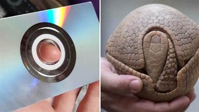 33張不尋常的照片，原來光碟不光只有圓形，方形的光碟你見過嗎？