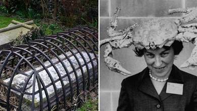 26張讓人細思極恐的照片，維多利亞時代的籠子墳墓，防止吸血鬼逃離墳墓