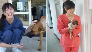「最美獸醫」簡稚澄：幫助700多條無家可歸局的狗狗不再痛苦，32歲最后藥卻留給了自己
