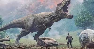 恐龍後裔還在嗎？專家研究牠身上流著恐龍「純正的血脈」，今為人類盤中餐「活得毫無尊嚴」