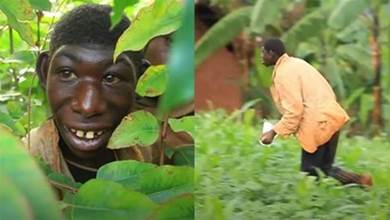 現實版人猿？21歲非洲男孩只吃青草水果　「長相返祖」被村民霸淩「每週暴走230公里」讓人淚目