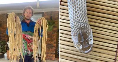 澳洲男子差點崩潰！家里發現50多張蛇皮：這些蛇到底去哪里了？